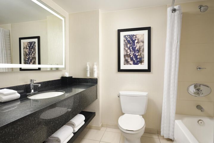 Embassy Suites by Hilton Chicago Downtown Magnificent Mile