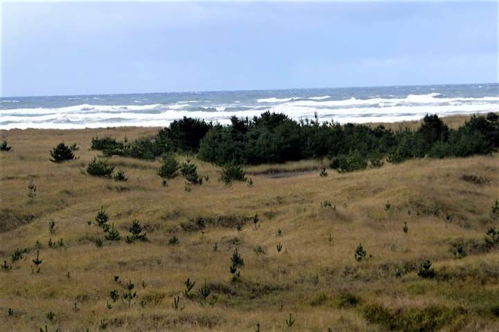 Beach 117 of 127