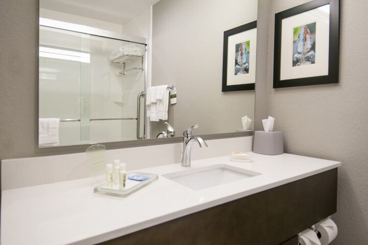Holiday Inn New Orleans Airport North by IHG