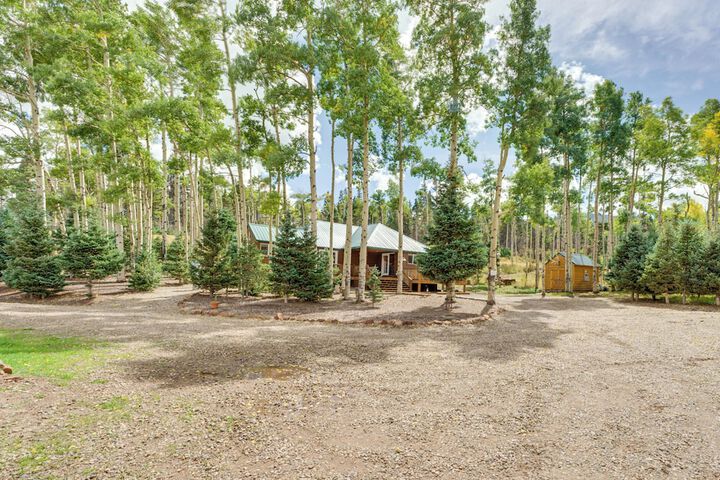 Mountain Views: Cabin in Fort Garland Near Hiking