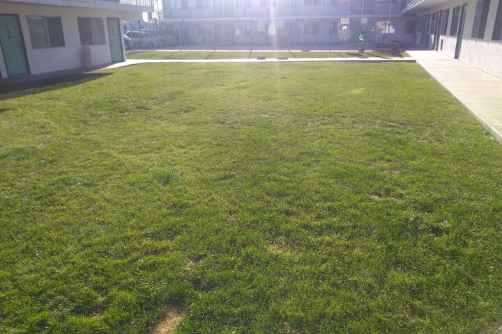Property Grounds 43 of 43