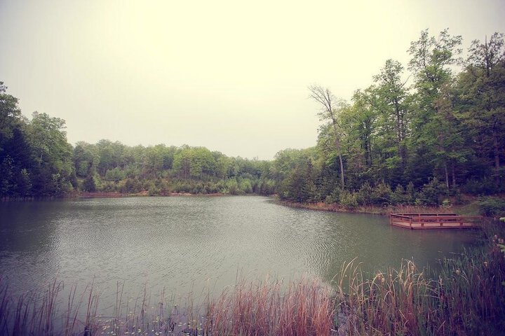 Cliffview Resort