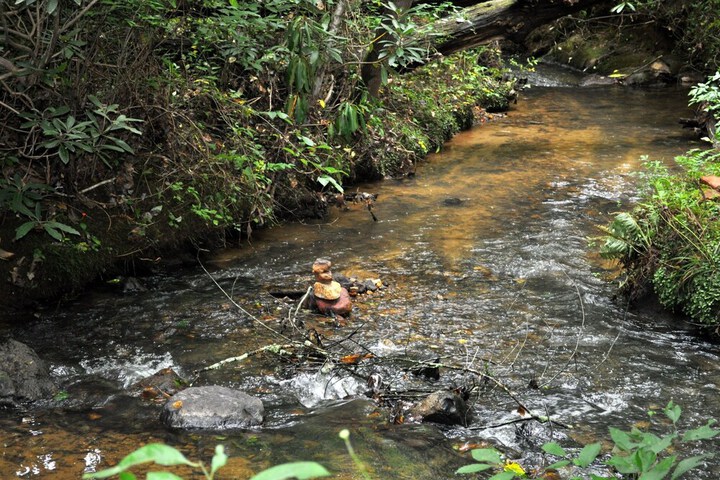 Twin Creeks