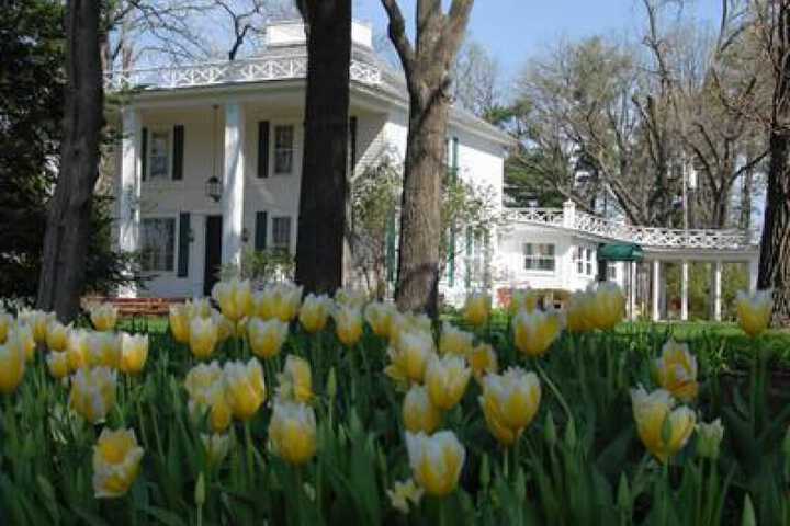 Oak Park Inn