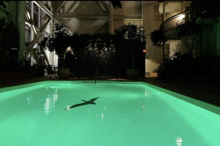 Pool 20 of 83