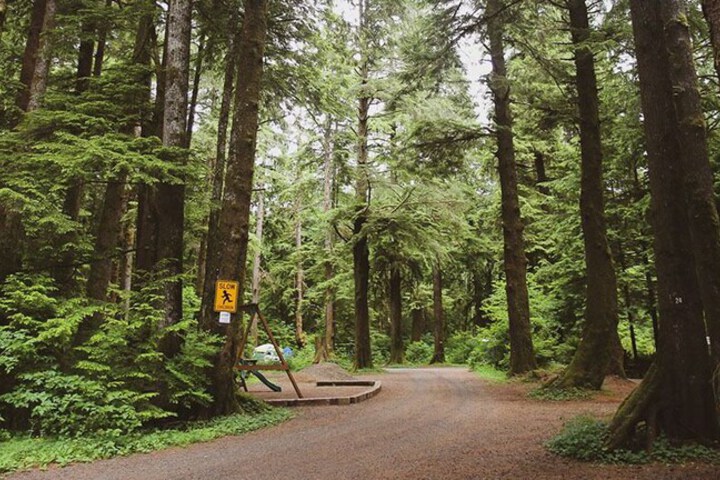 3 Rivers Resort and Guide Service