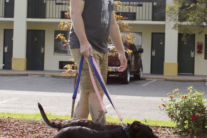 Pet Friendly 34 of 39