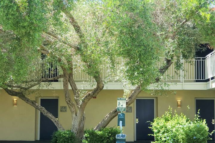 Hotel Exterior 36 of 41