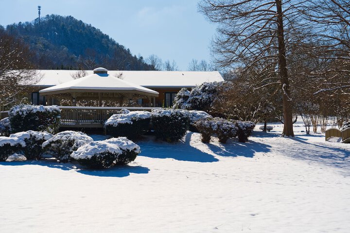 Tremont Lodge & Resort