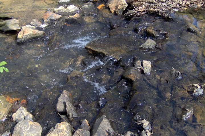 Twin Creeks