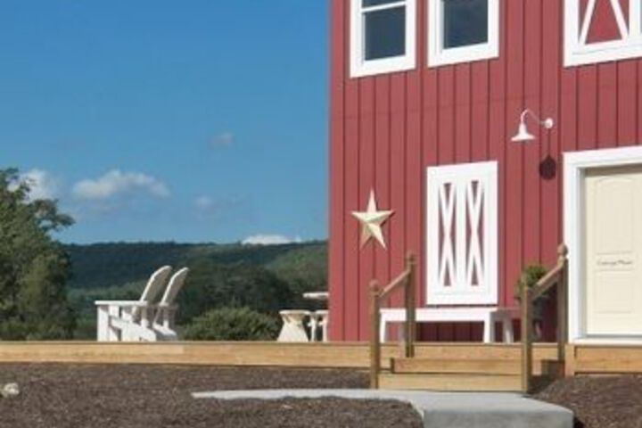 Mountain Horse Farm