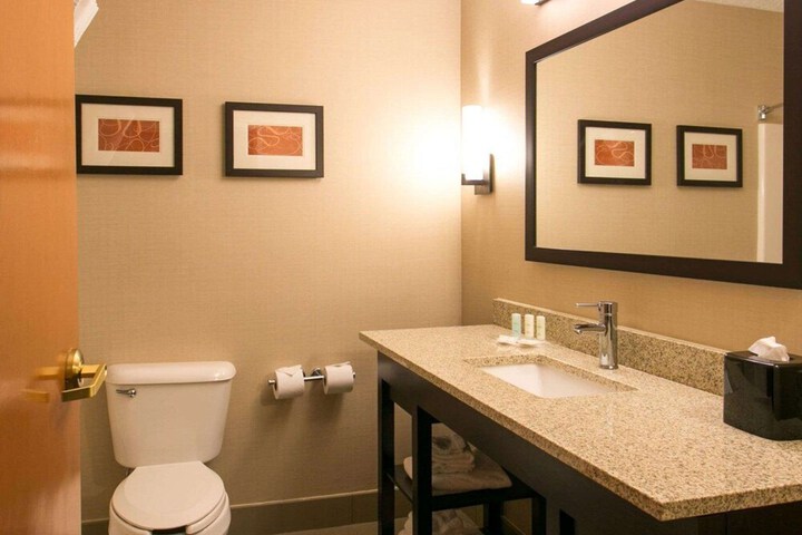 Comfort Suites Benton Harbor - St. Joseph
