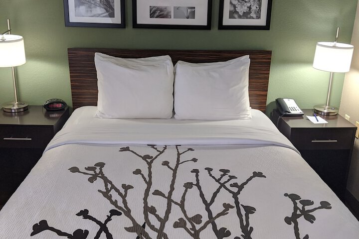 Room 19 of 39