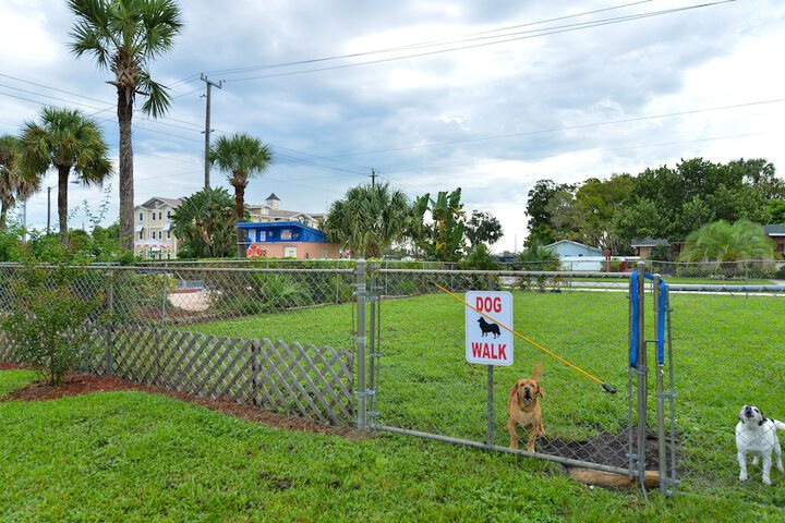 Property Grounds 25 of 25