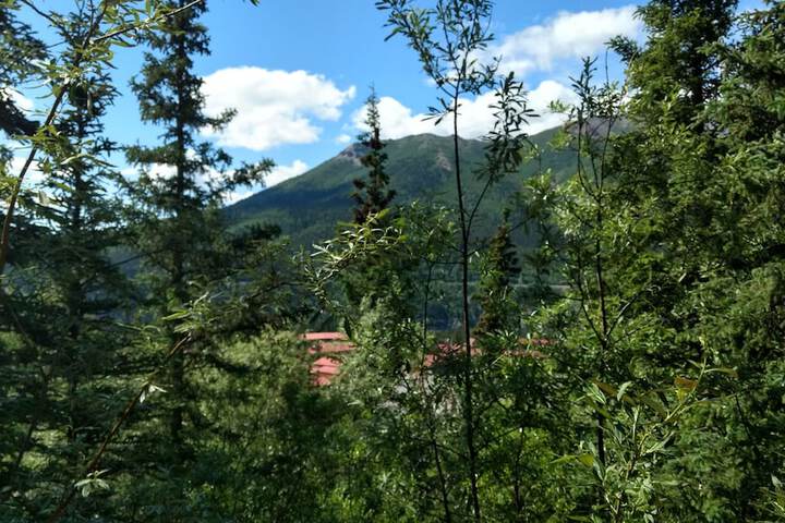Denali Crows Nest Cabins