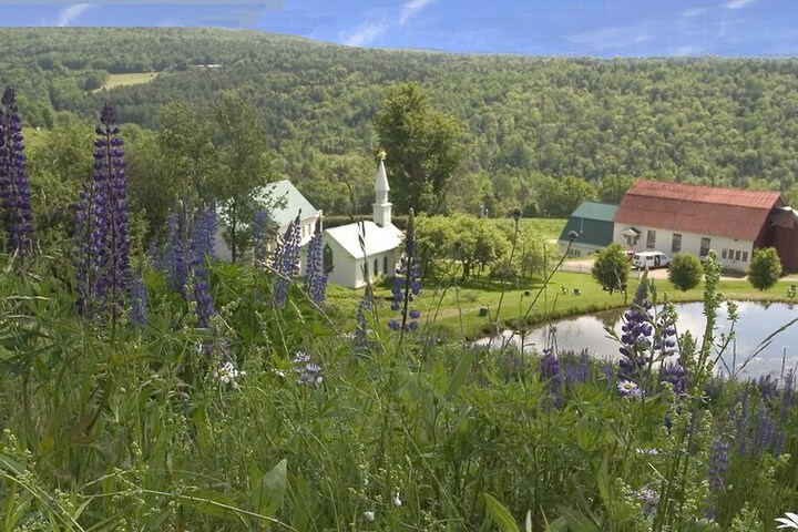 The Wildflower Inn