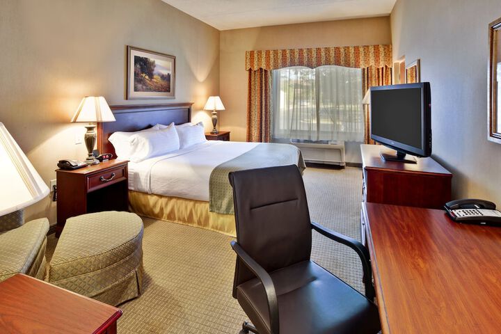 Holiday Inn & Suites Ann Arbor Univ Michigan Area by IHG