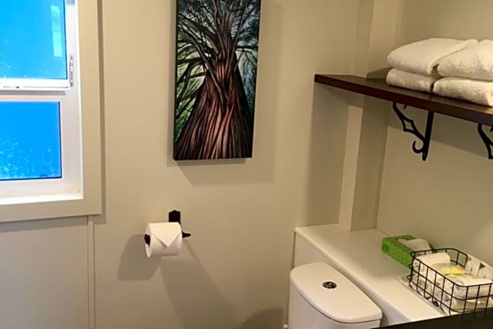 Tiny Homes by Snow Valley Lodging