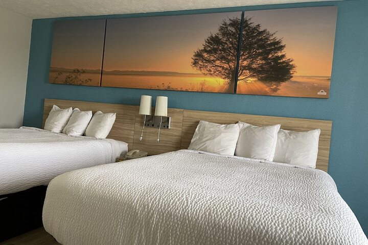 Room 15 of 28