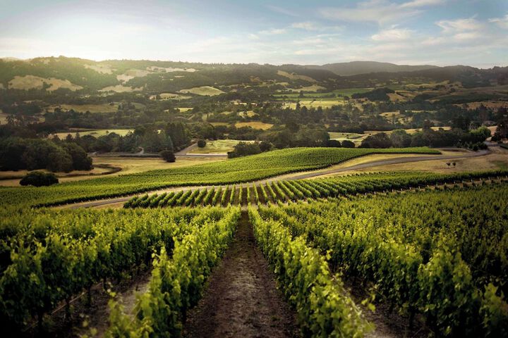 Hyatt Regency Sonoma Wine Country