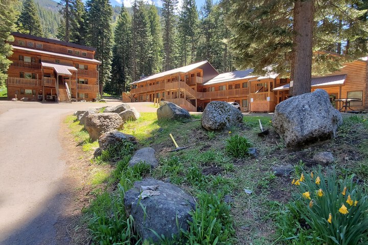 Hotel 4 of 235