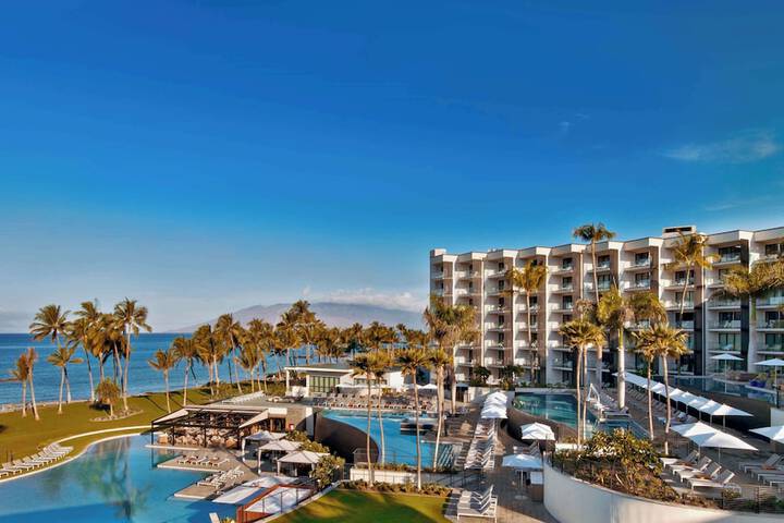 Hotel 4 of 146