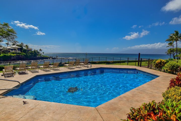 Pool 19 of 61