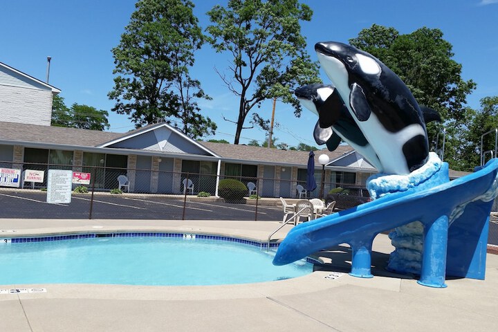 Pool 4 of 29