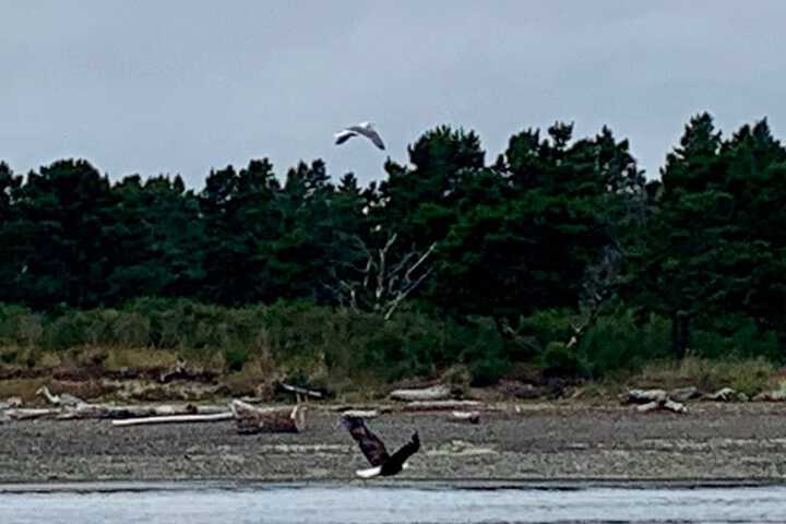 Tillamook Bay City RV Park
