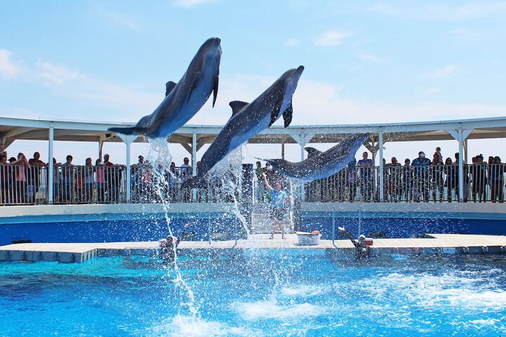 Holiday Inn Resort Fort Walton Beach by IHG