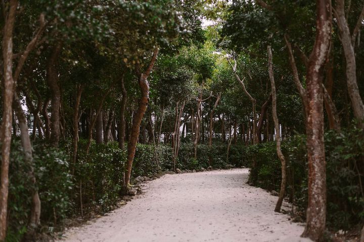 Bakers Cay Resort Key Largo Curio Collection by Hilton
