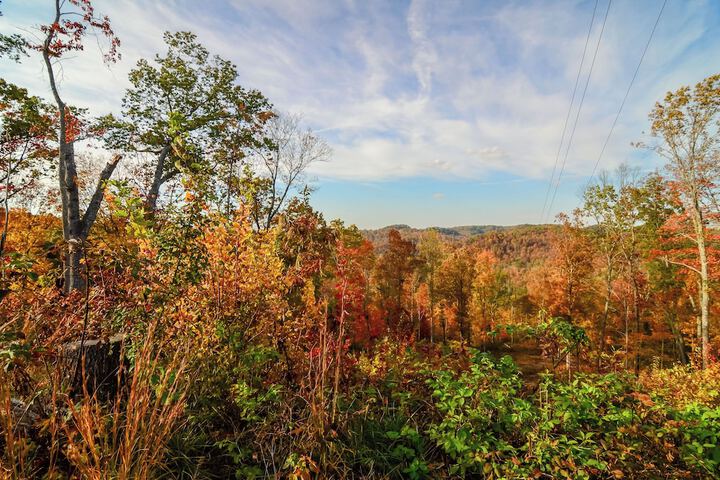 Hike & Climb: Pet-friendly Red River Gorge Cabin!