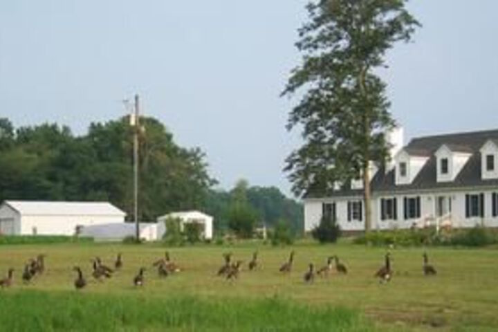 The Wild Game Inn