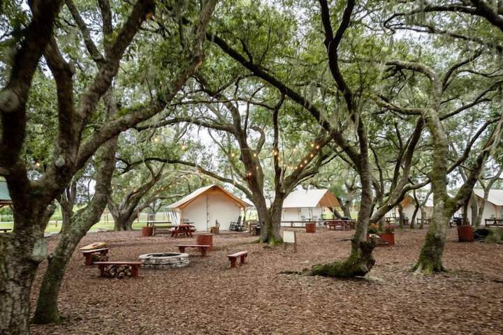 Westgate River Ranch Resort & Rodeo