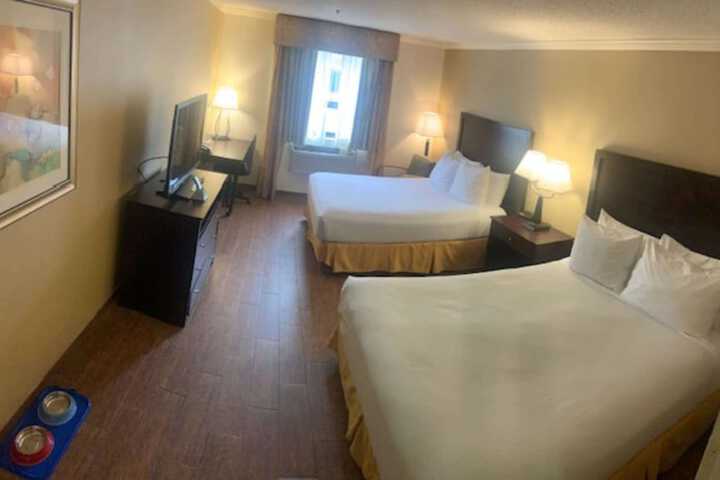 Room 33 of 47