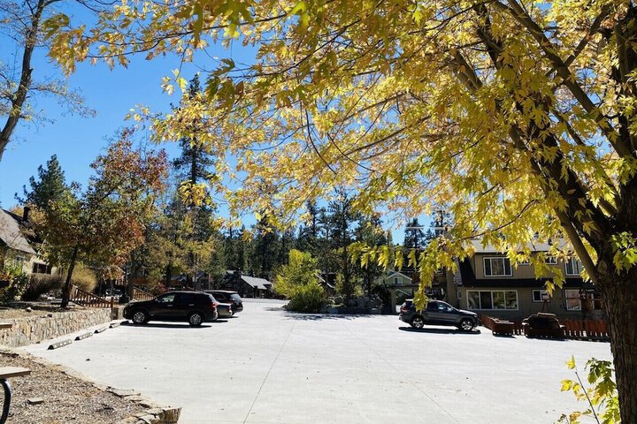 Bear Creek Resort