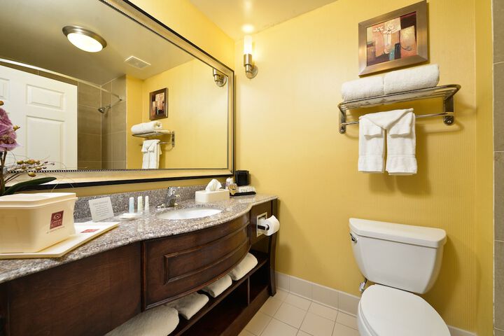 Comfort Suites Bay City East