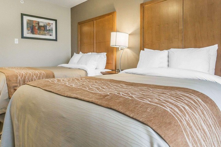 Comfort Inn & Suites Edmonton International Airport
