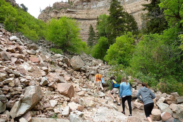 Residence Inn by Marriott Glenwood Springs