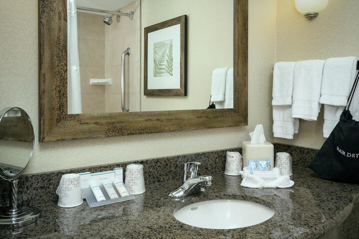 Hilton Garden Inn Seattle Issaquah
