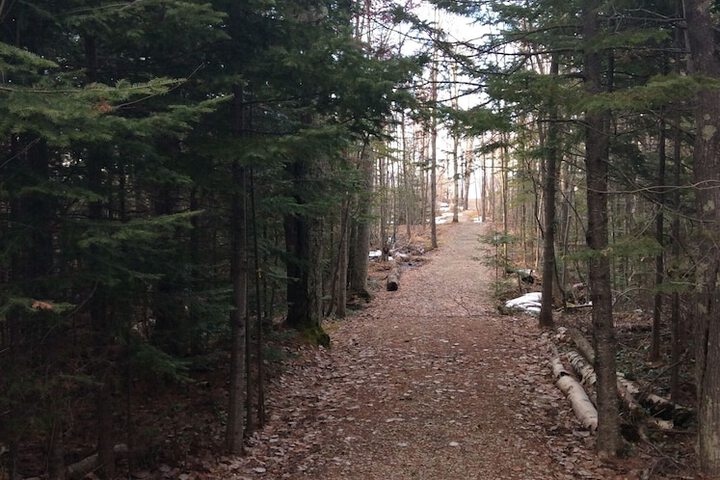 Property Grounds 34 of 39
