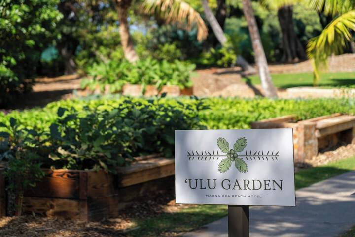 Mauna Kea Beach Hotel Autograph Collection