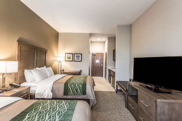Comfort Inn & Suites Snyder