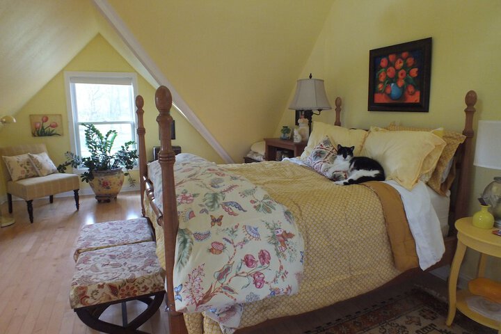 Room 15 of 24