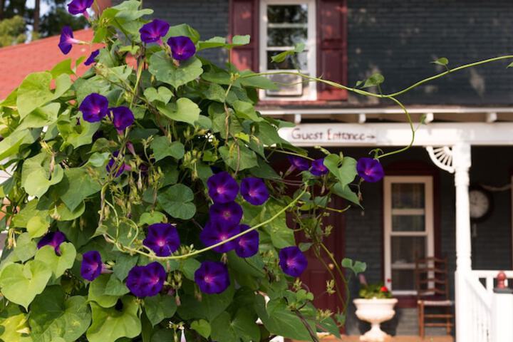 Hotel Exterior 43 of 47
