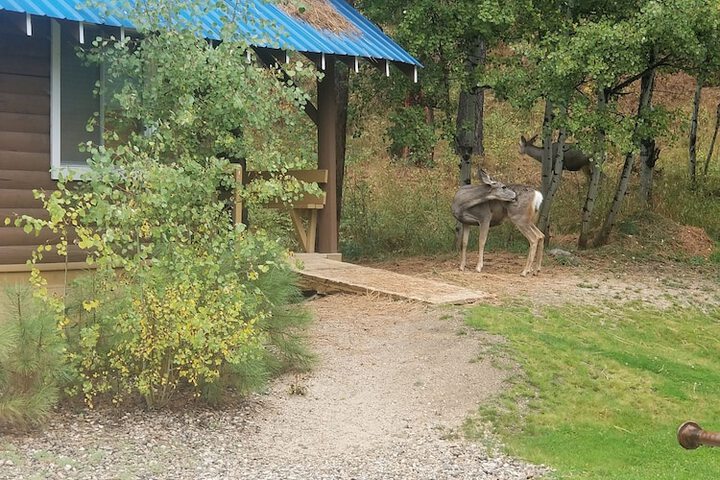 Property Grounds 42 of 42