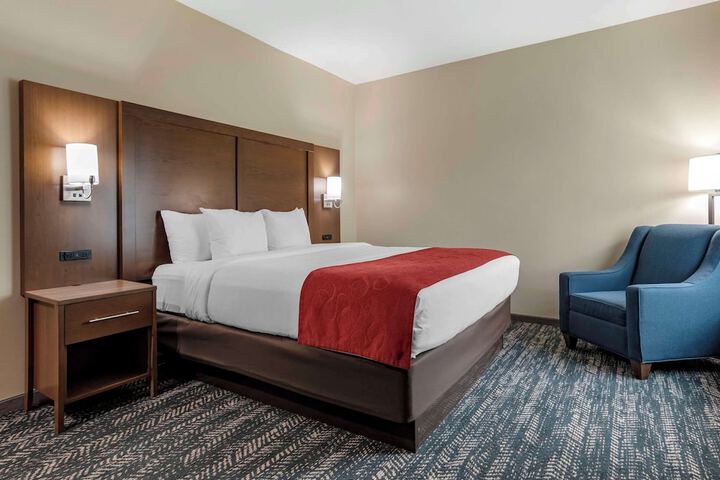 Comfort Inn & Suites Downtown near University