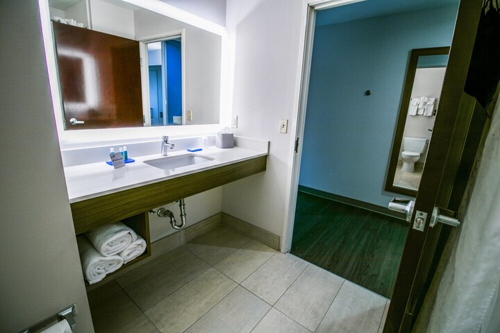 Holiday Inn Express Hotel & Suites a Baton Rouge-Port Allen by IHG