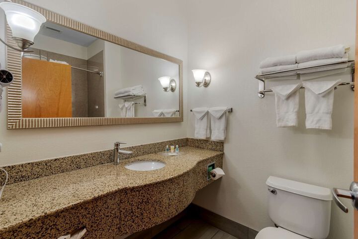 Comfort Suites Stockbridge Atlanta South