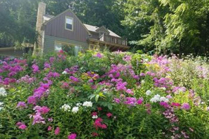 Contented Cottage Bed & Breakfast